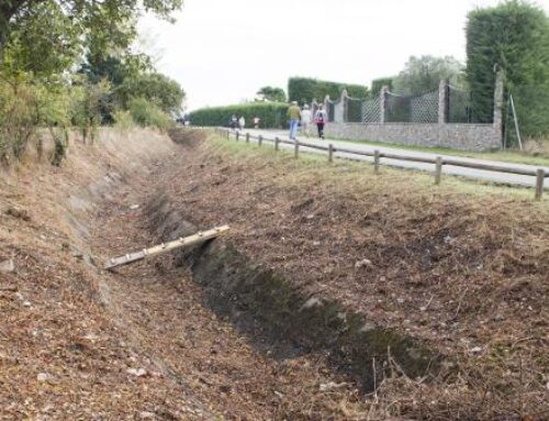 El Ayuntamiento de Santo Domingo limpia el canal nuevo